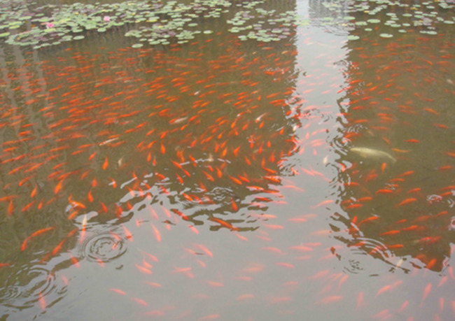 北京万国城MOMA图片