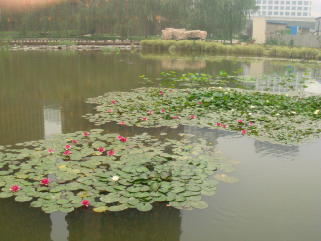 北京万国城MOMA图片