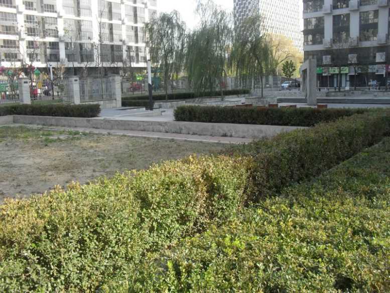 北京后现代城图片