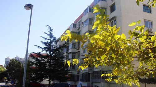 北京石园北区图片