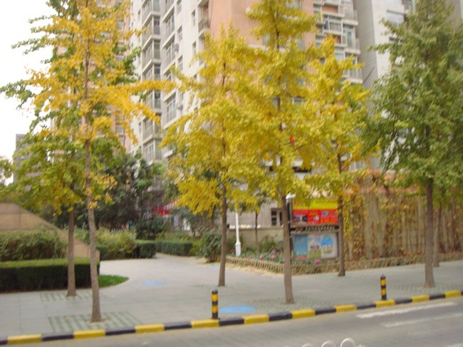 北京远洋天地图片