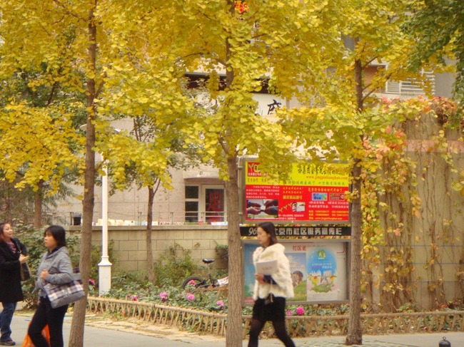 北京远洋天地图片