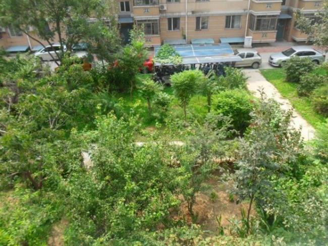 北京天通苑东二区图片