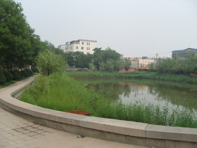 北京天通苑北三区图片