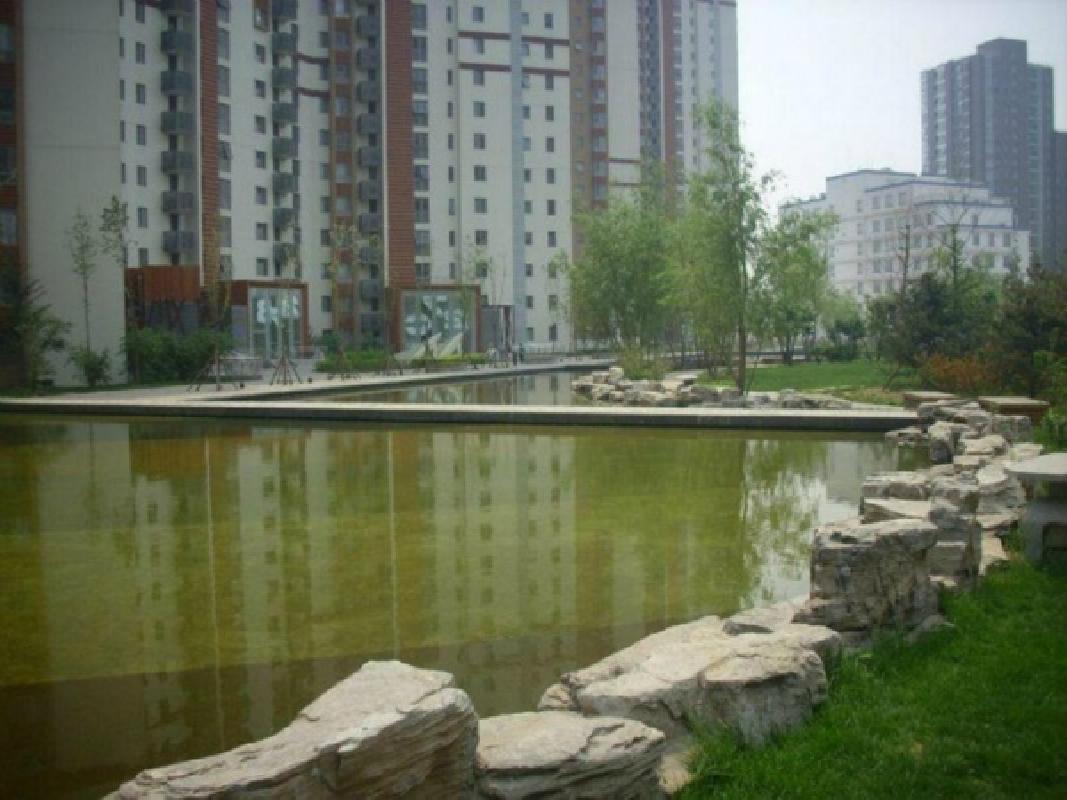 北京北京青年城图片