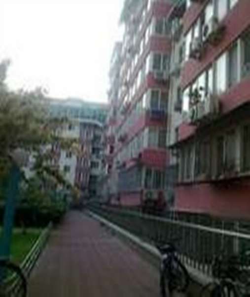 北京金泰城.丽湾图片