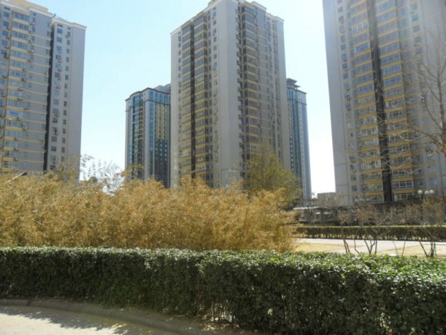 北京京通苑图片