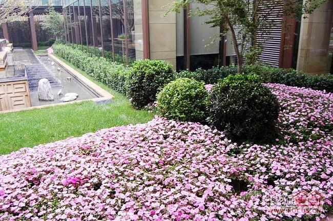 北京保利东郡图片