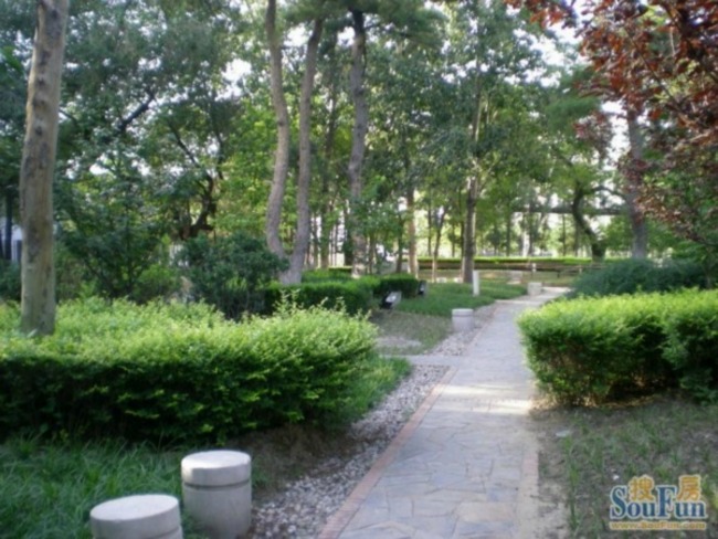 北京UHN国际村图片