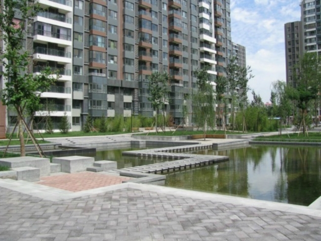 北京爱这城图片