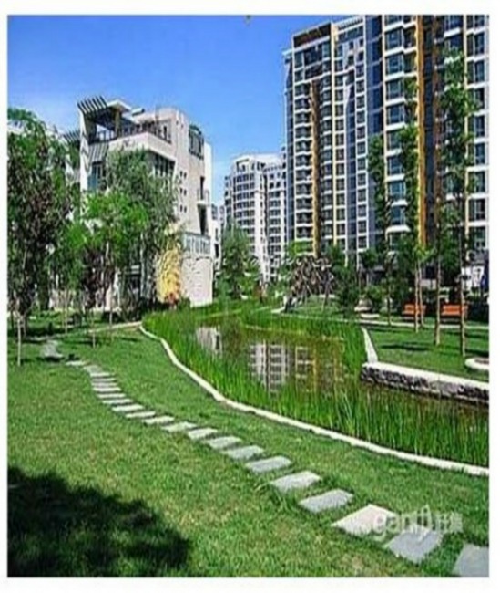 北京利泽西园图片