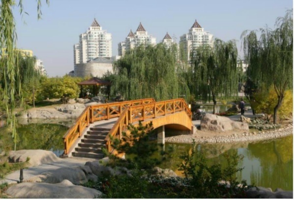 北京天通苑东二区图片