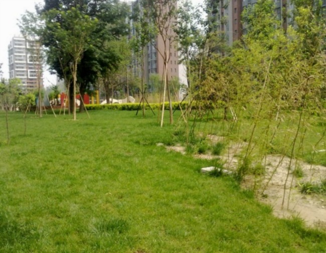 北京爱这城图片