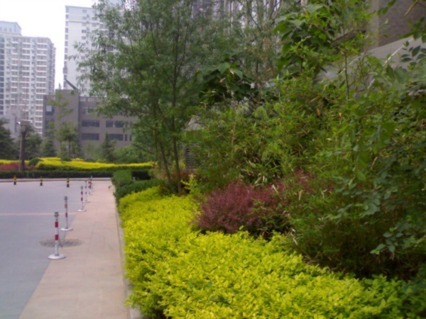 北京美景东方图片