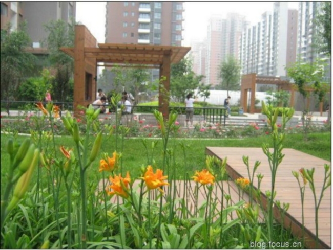 北京爱这城图片