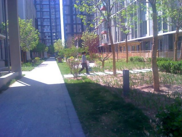 北京北纬40°图片