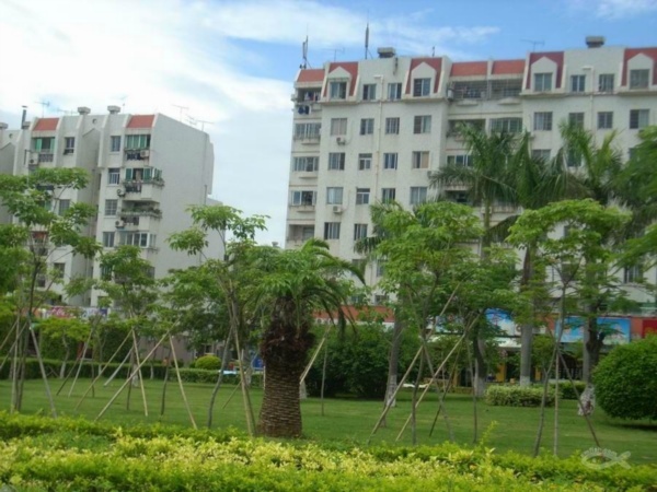 北京炫特区图片