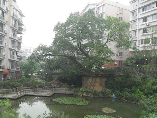 北京炫特区图片