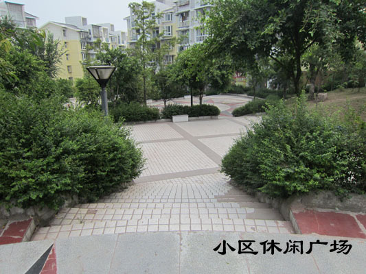 北京炫特区图片