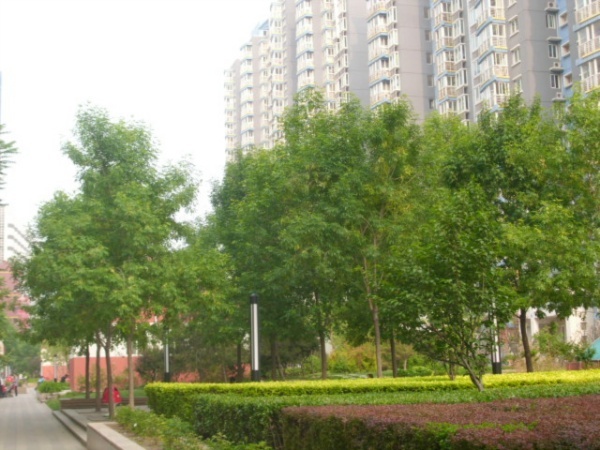 北京兴隆家园图片