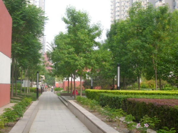 北京兴隆家园图片