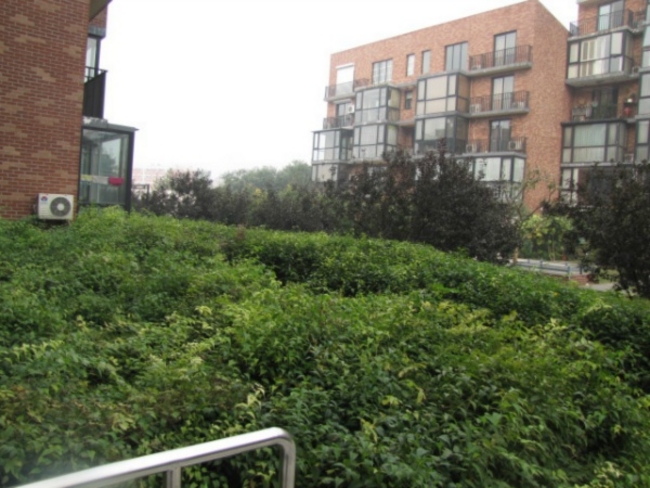 北京金地格林小镇图片