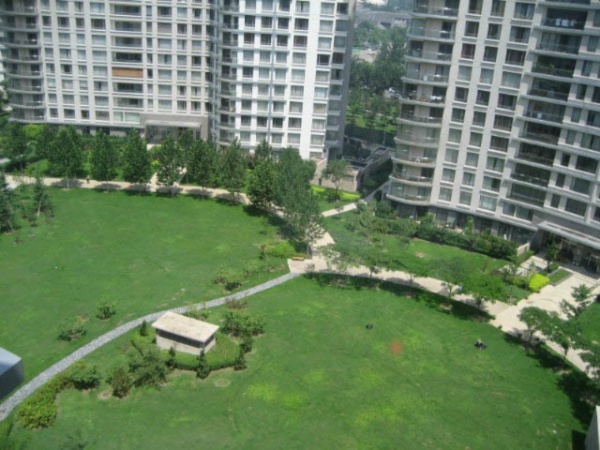 北京公园大道图片