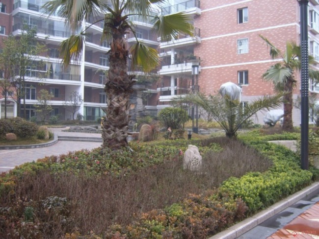 北京碧水云天图片