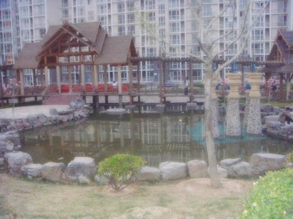 北京新龙城图片