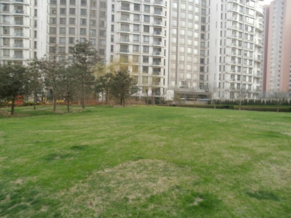 北京公园大道图片