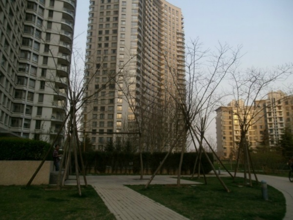 北京公园大道图片