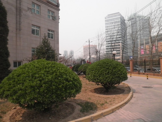 北京嘉润花园图片