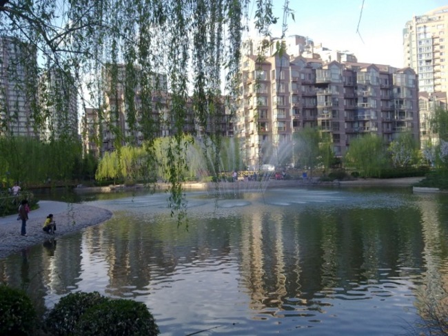 大西洋新城d区