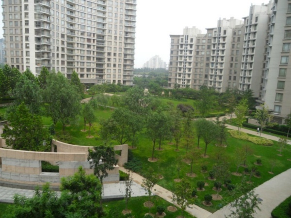 北京公园大道图片