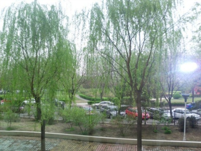 北京世纪城三期图片