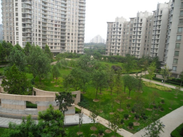 北京公园大道图片