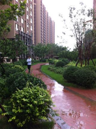 北京新华联家园图片