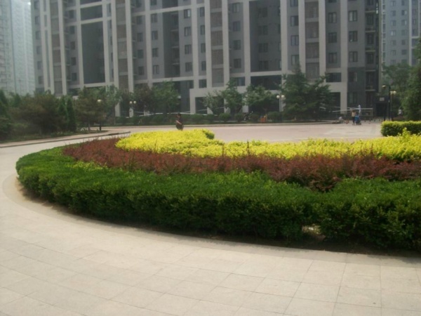 北京北苑家园望春园图片