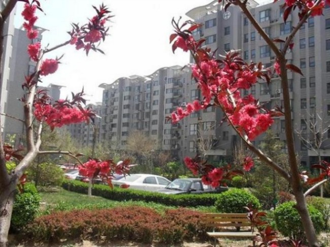 北京上海沙龙三期图片