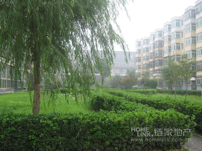 北京佳运园图片