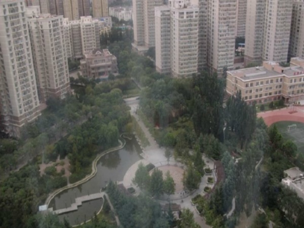 北京望京西园三区图片