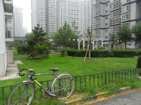 北京北苑家园绣菊园图片