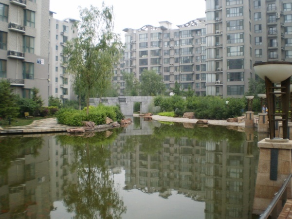 北京上海沙龙三期图片