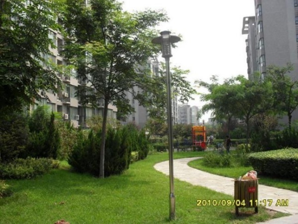 北京上海沙龙三期图片