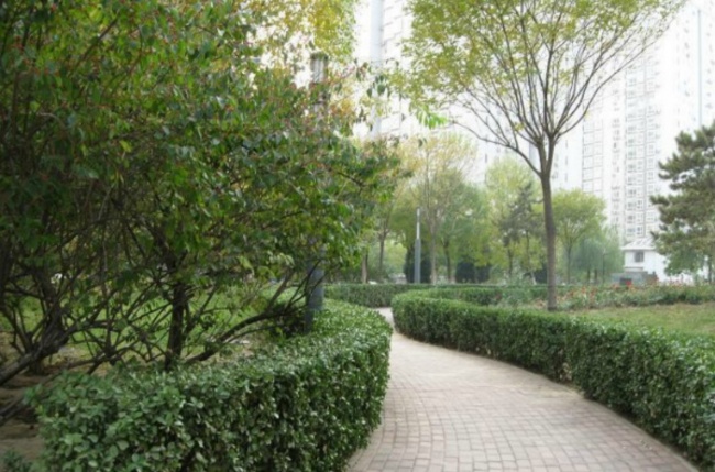 北京北苑家园清友园图片