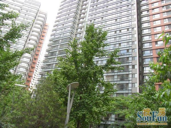 北京金地国际花园图片