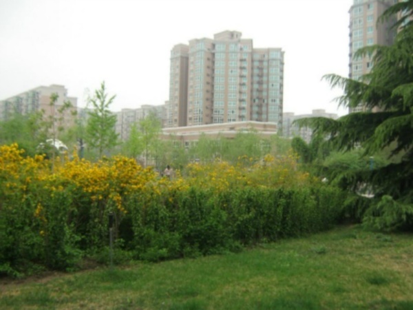 北京世纪城二期图片