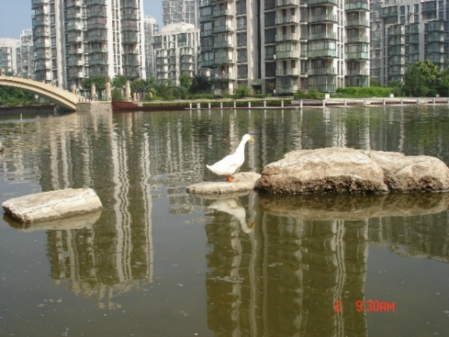北京顺驰领海图片