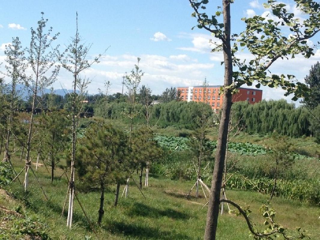 北京朗琴园图片