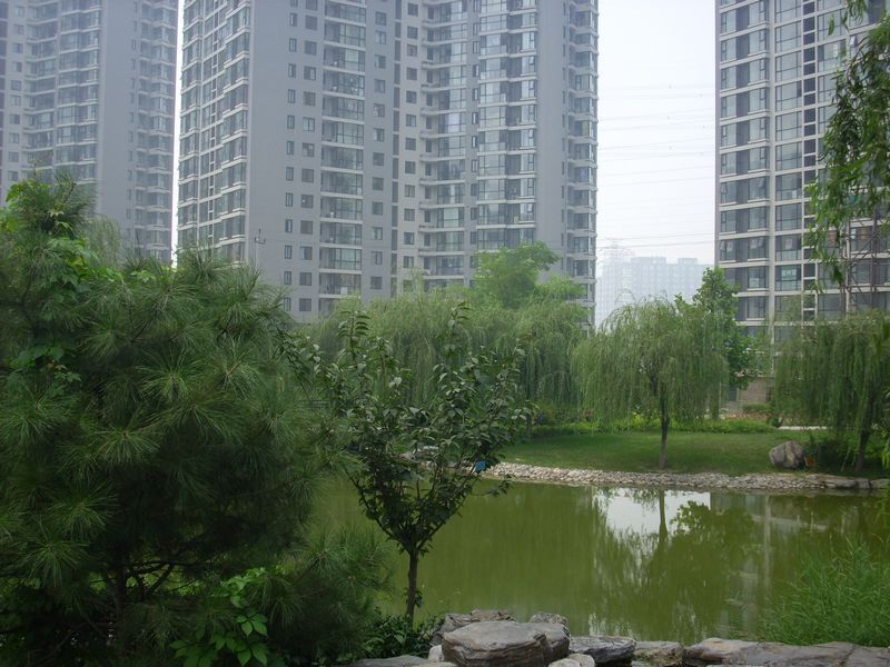 北京北苑家园望春园图片